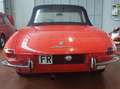 Alfa Romeo Spider Duetto osso di seppia 1.3 Junior Rouge - thumbnail 7
