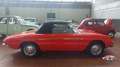 Alfa Romeo Spider Duetto osso di seppia 1.3 Junior Rouge - thumbnail 9