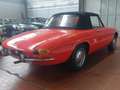 Alfa Romeo Spider Duetto osso di seppia 1.3 Junior Rouge - thumbnail 8
