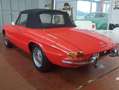 Alfa Romeo Spider Duetto osso di seppia 1.3 Junior Rouge - thumbnail 6