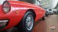 Alfa Romeo Spider Duetto osso di seppia 1.3 Junior Rouge - thumbnail 14