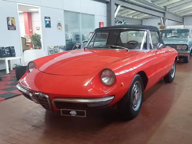 Alfa Romeo Spider Duetto osso di seppia 1.3 Junior