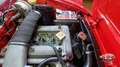 Alfa Romeo Spider Duetto osso di seppia 1.3 Junior Rouge - thumbnail 37