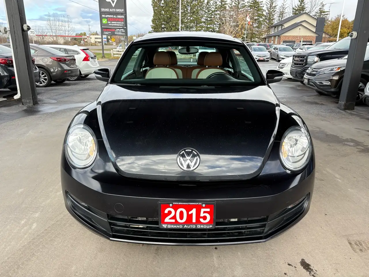 Volkswagen Beetle снимка Volkswagen Beetle