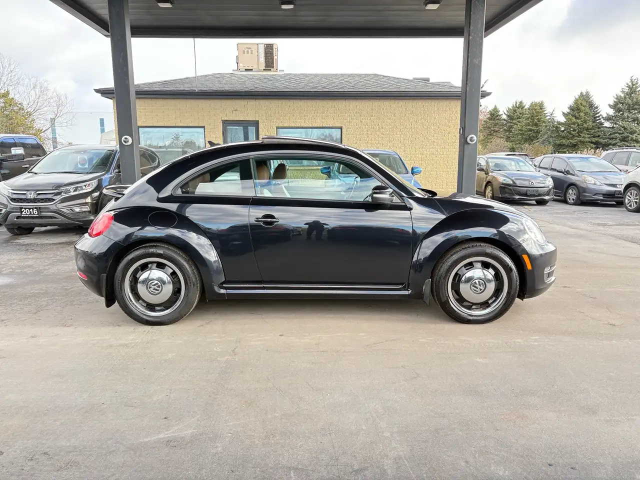 Volkswagen Beetle снимка Volkswagen Beetle