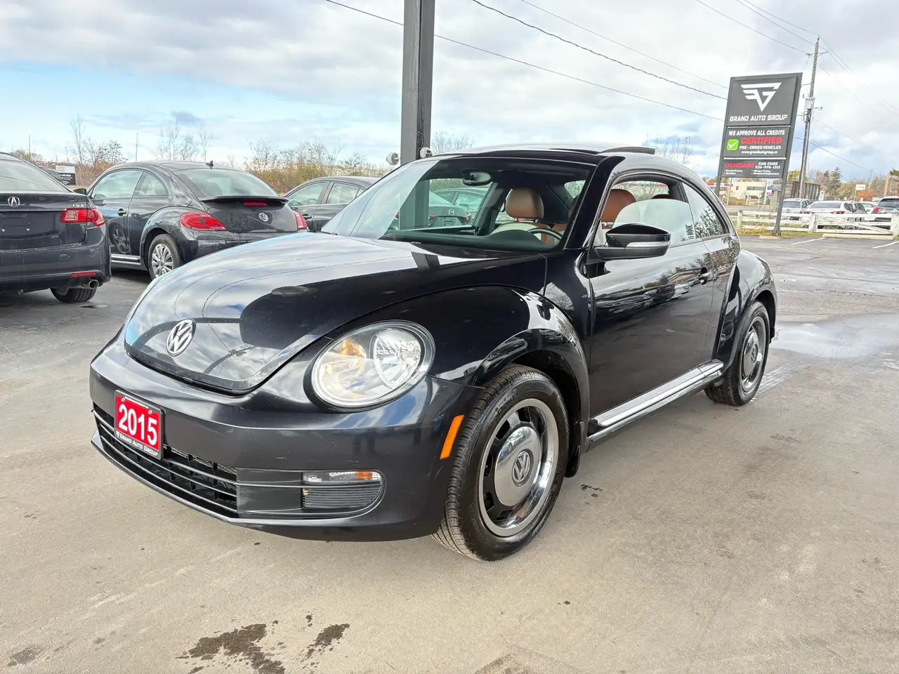 Volkswagen Beetle снимка Volkswagen Beetle