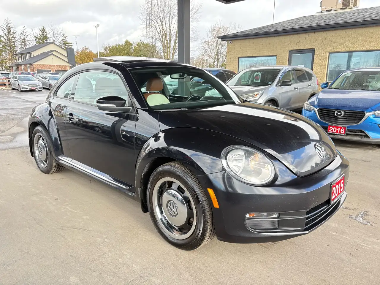 Volkswagen Beetle снимка Volkswagen Beetle