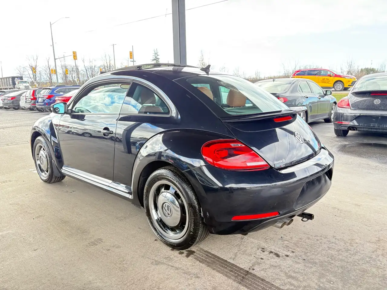 Volkswagen Beetle снимка Volkswagen Beetle