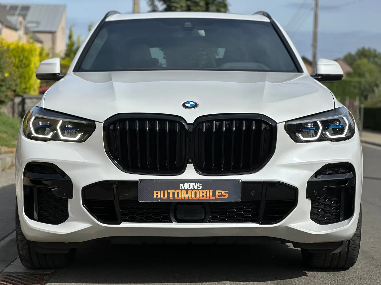 BMW X5 X5 3.0 dA xDrive40 Pack M Wit - 2