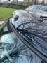Chatenet CH 26 confort - thumbnail 7