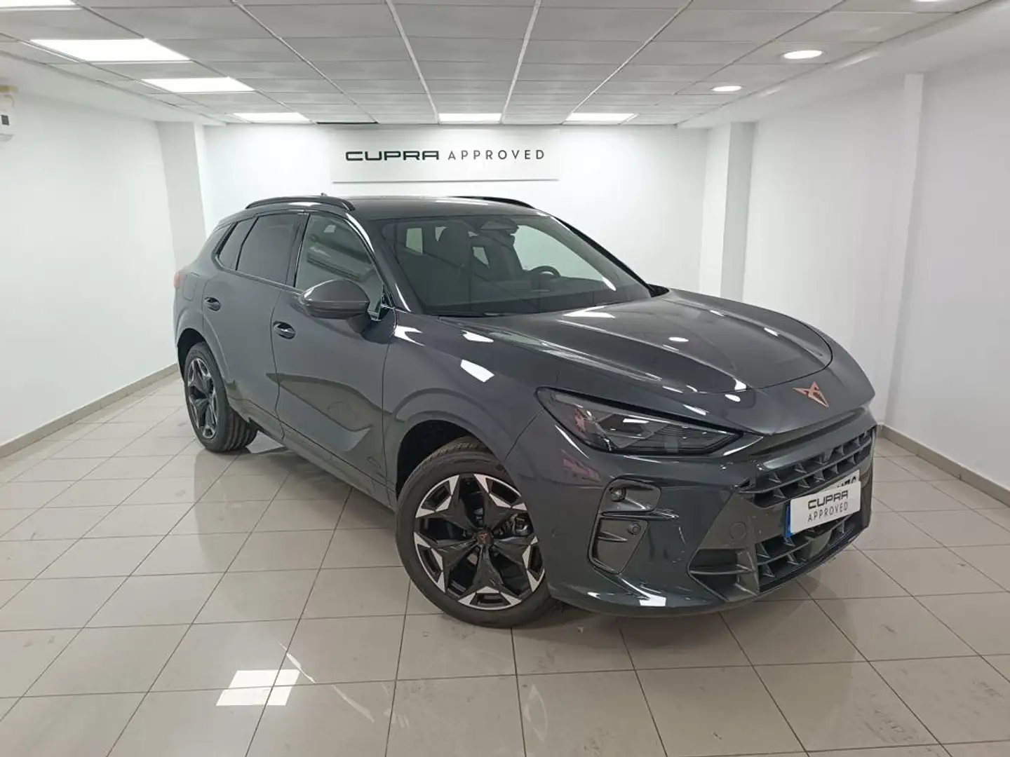 CUPRA Terramar 1.5 eTSI 110 DSG Gris - 1