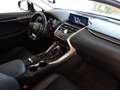 Lexus NX 300 AWD Aut. EXECUTIVE  *199PS SYSTEM *GARANTIE Silber - thumbnail 15