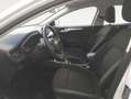 Ford Focus 1.5 Ecoblue Trend+ 120 Blanco - thumbnail 10