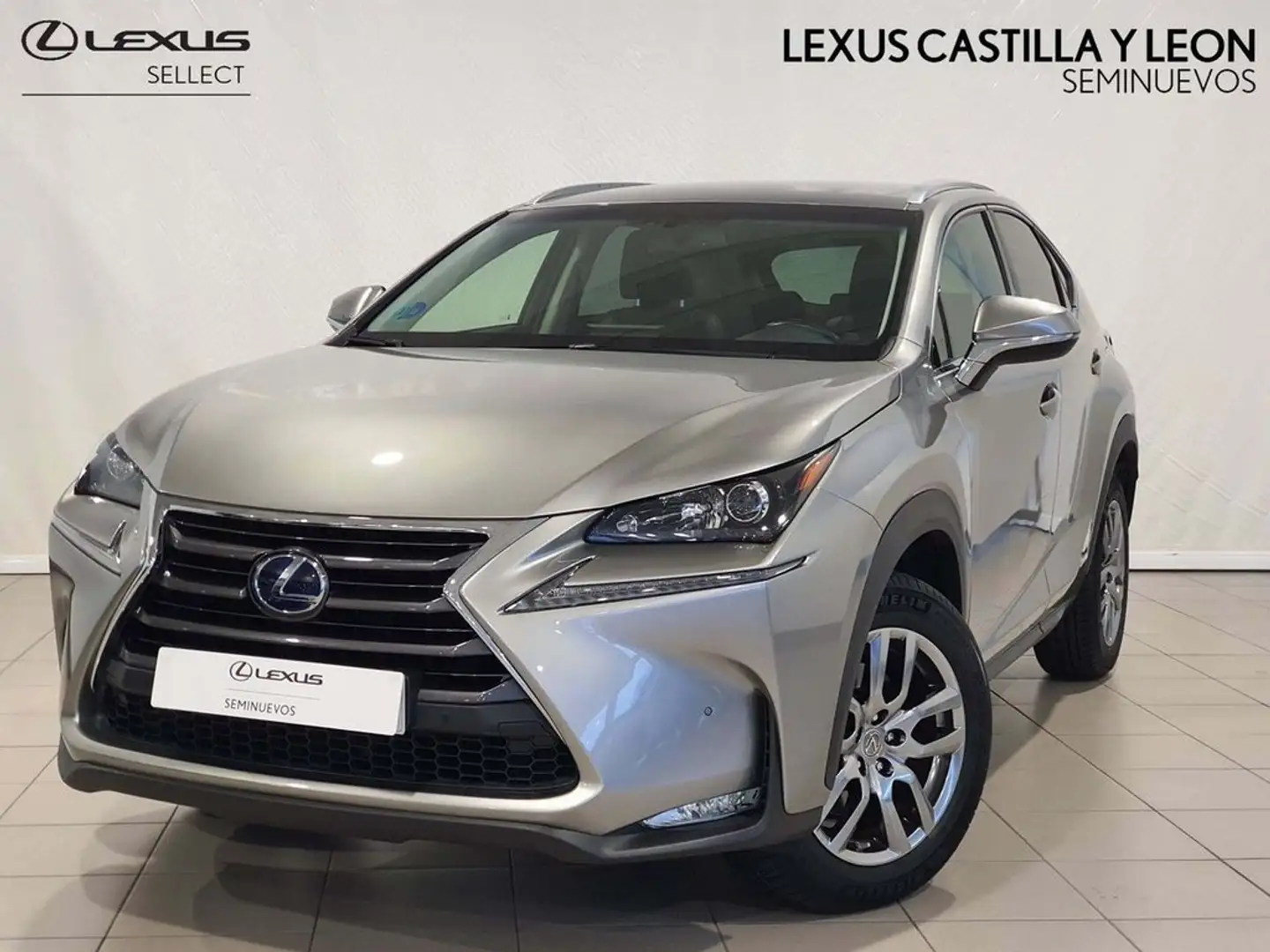Lexus NX 300h EXECUTIVE 4WD Grijs - 1