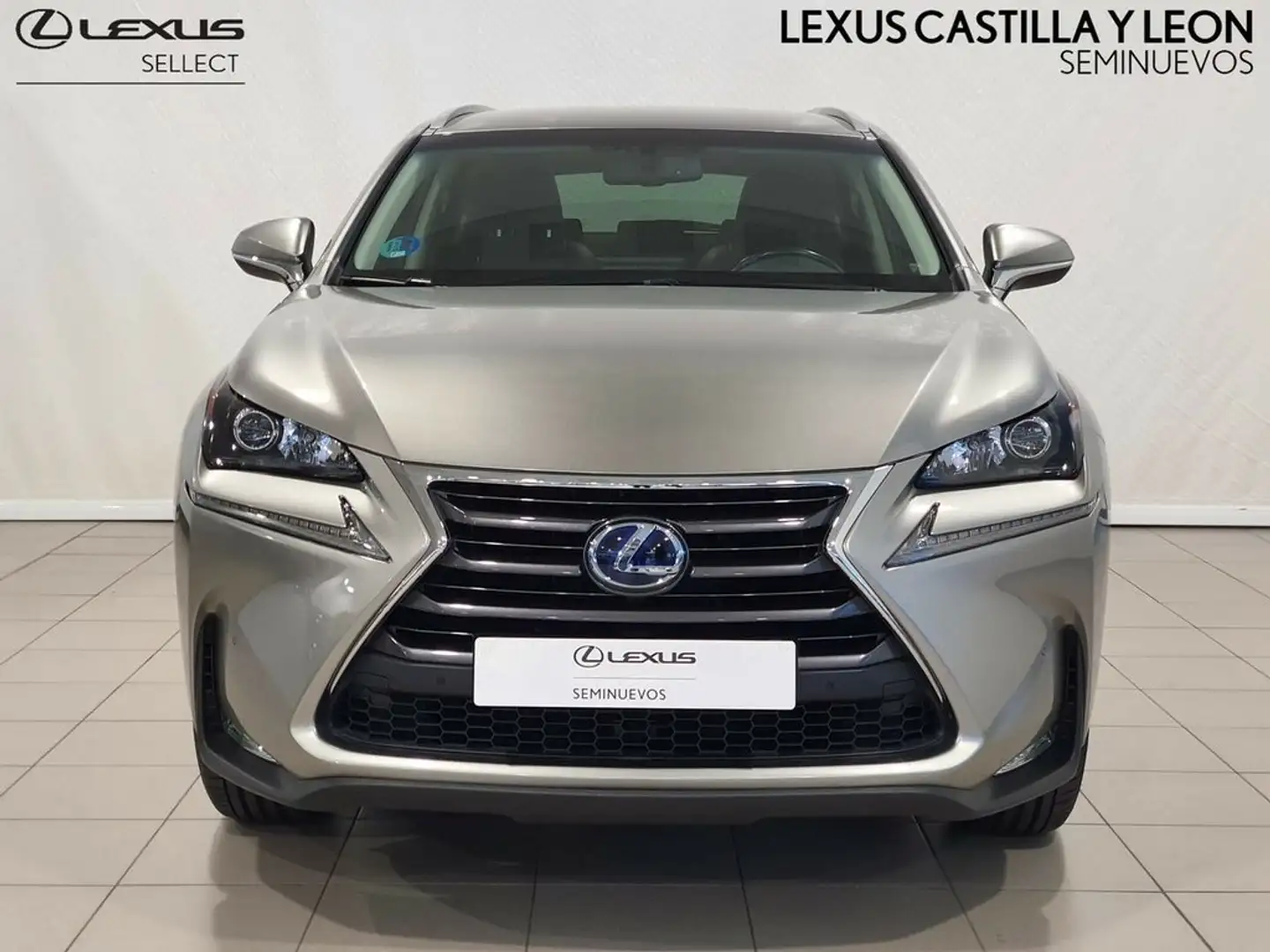 Lexus NX 300h EXECUTIVE 4WD Grijs - 2