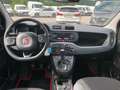 Fiat Panda 4x4 Wild Weiß - thumbnail 7
