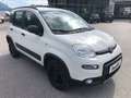 Fiat Panda 4x4 Wild Weiß - thumbnail 6