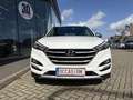 Hyundai TUCSON Prémium Urban Spirit Blanc - thumbnail 2