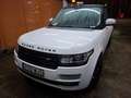 Land Rover Range Rover Range Rover 4.4SDV8 Vogue Aut. Vogue Blanco - thumbnail 5