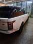 Land Rover Range Rover Range Rover 4.4SDV8 Vogue Aut. Vogue Blanco - thumbnail 6