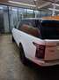 Land Rover Range Rover Range Rover 4.4SDV8 Vogue Aut. Vogue Blanco - thumbnail 4
