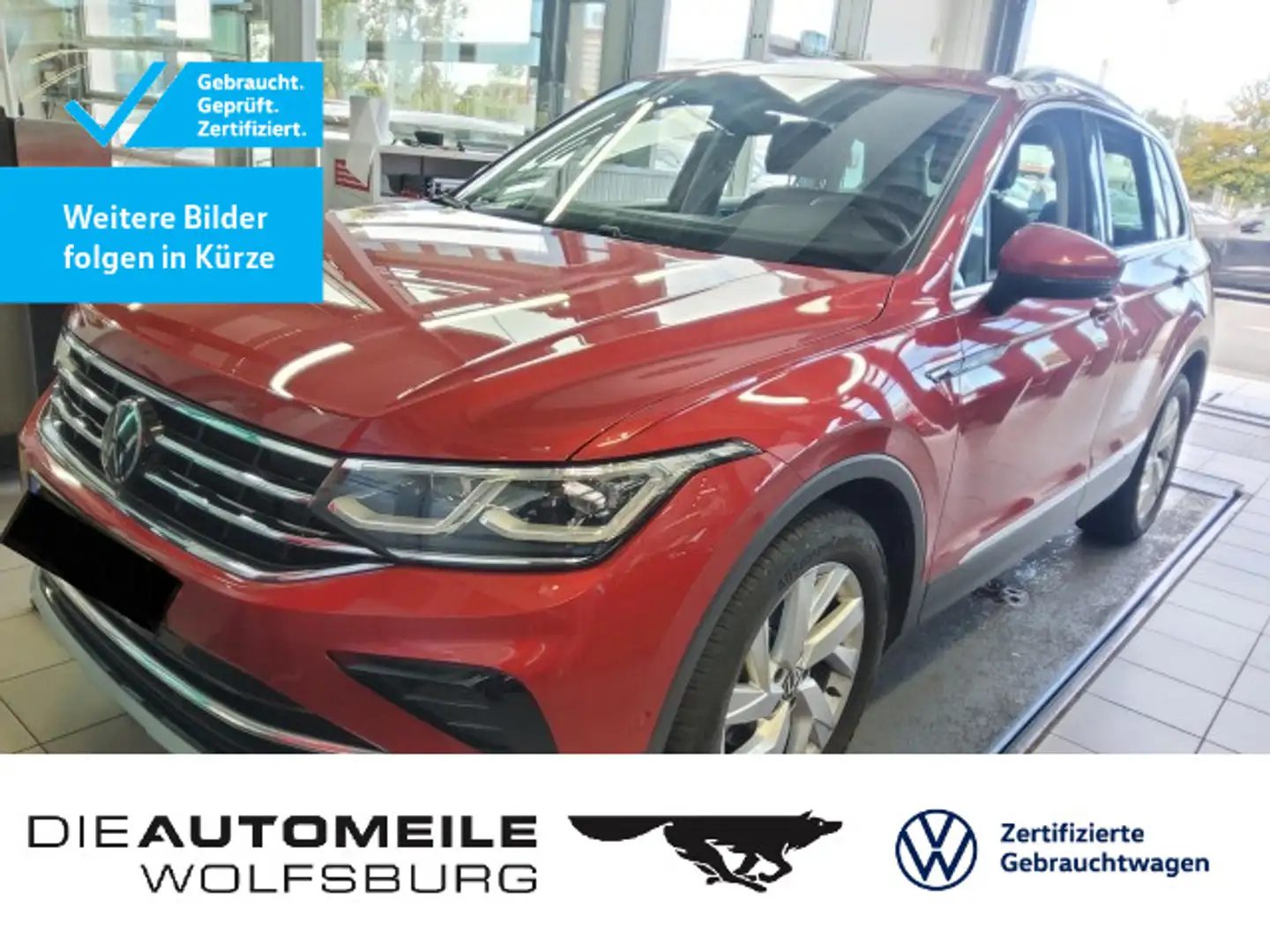 Volkswagen Tiguan 1.5 TSI DSG Elegance AHK / Standhzg / ACC Rot - 1