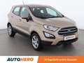 Ford EcoSport 1.0 EcoBoost Trend *PDC*SZH*KLIMA* Braun - thumbnail 8