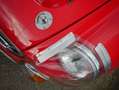 MG MGB GT V8 Sebring Stage 1 RHD Tribute Rot - thumbnail 4