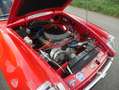 MG MGB GT V8 Sebring Stage 1 RHD Tribute Rot - thumbnail 46