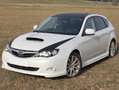 Subaru Impreza Impreza Hatchback 2,0D Sport Sport Weiß - thumbnail 1