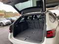 BMW 540 d xDrive Tour M-Sport Leder Sitzbelüftung Pano H&K Blanc - thumbnail 15
