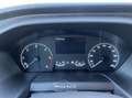 Ford Transit 330 2.0 TDCI L3H2 Trend DHOLLANDIA LAADKLEP |CRUIS Wit - thumbnail 10
