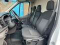 Ford Transit 330 2.0 TDCI L3H2 Trend DHOLLANDIA LAADKLEP |CRUIS Alb - thumbnail 14