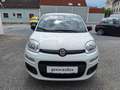 Fiat Panda 4x2 FireFly Hybrid 70 Pandina Bianco - thumbnail 2
