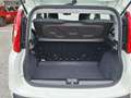 Fiat Panda 4x2 FireFly Hybrid 70 Pandina Bianco - thumbnail 14