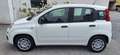 Fiat Panda 4x2 FireFly Hybrid 70 Pandina Bianco - thumbnail 4
