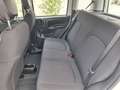 Fiat Panda 4x2 FireFly Hybrid 70 Pandina Bianco - thumbnail 15