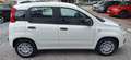 Fiat Panda 4x2 FireFly Hybrid 70 Pandina Bianco - thumbnail 9