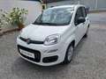 Fiat Panda 4x2 FireFly Hybrid 70 Pandina Bianco - thumbnail 3