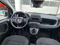 Fiat Panda 4x2 FireFly Hybrid 70 Pandina Bianco - thumbnail 13