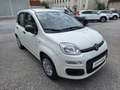 Fiat Panda 4x2 FireFly Hybrid 70 Pandina Bianco - thumbnail 1