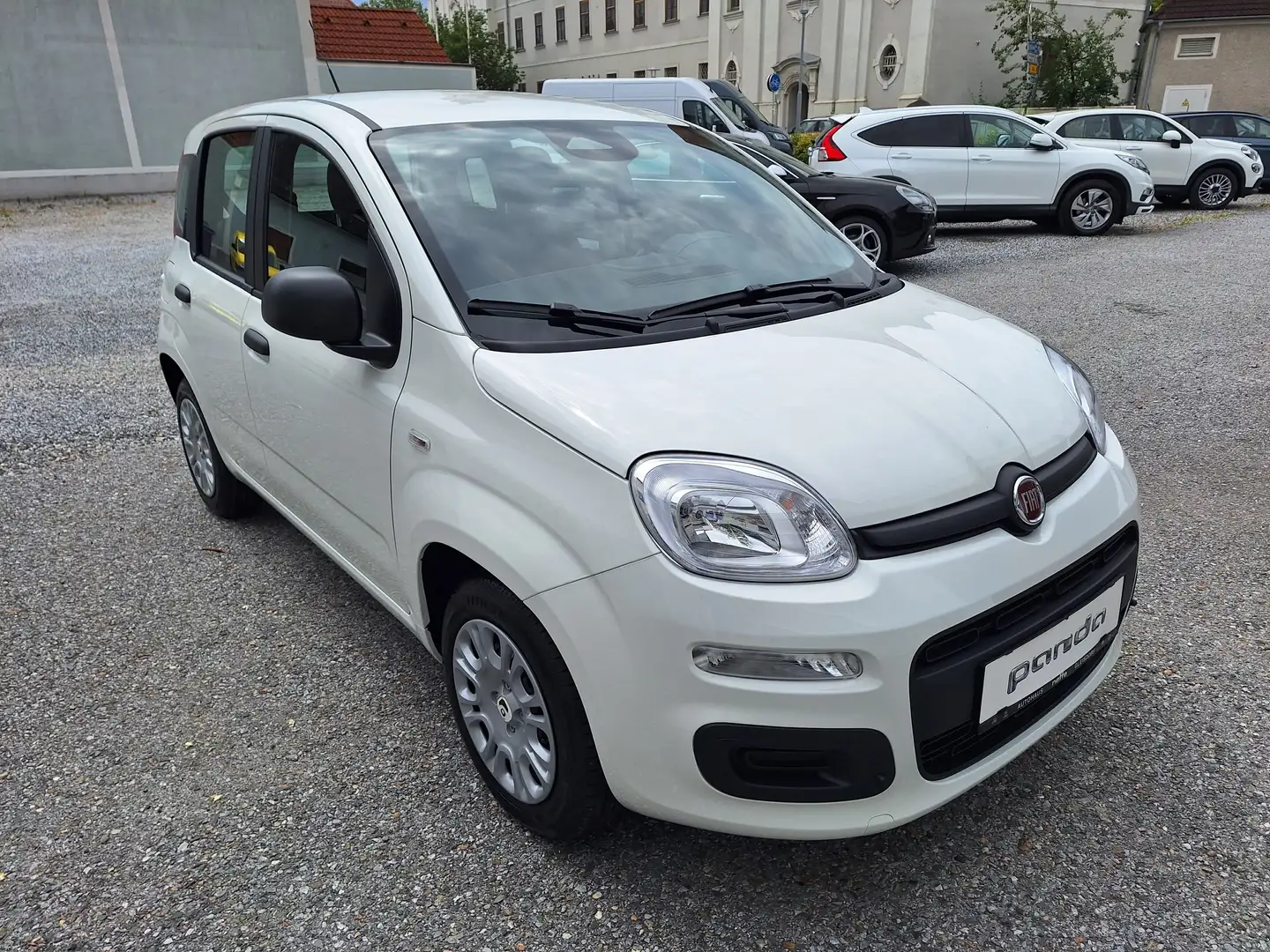Fiat Panda 4x2 FireFly Hybrid 70 Pandina Bianco - 1