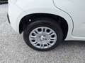 Fiat Panda 4x2 FireFly Hybrid 70 Pandina Bianco - thumbnail 8