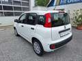 Fiat Panda 4x2 FireFly Hybrid 70 Pandina Bianco - thumbnail 5