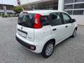 Fiat Panda 4x2 FireFly Hybrid 70 Pandina Bianco - thumbnail 7