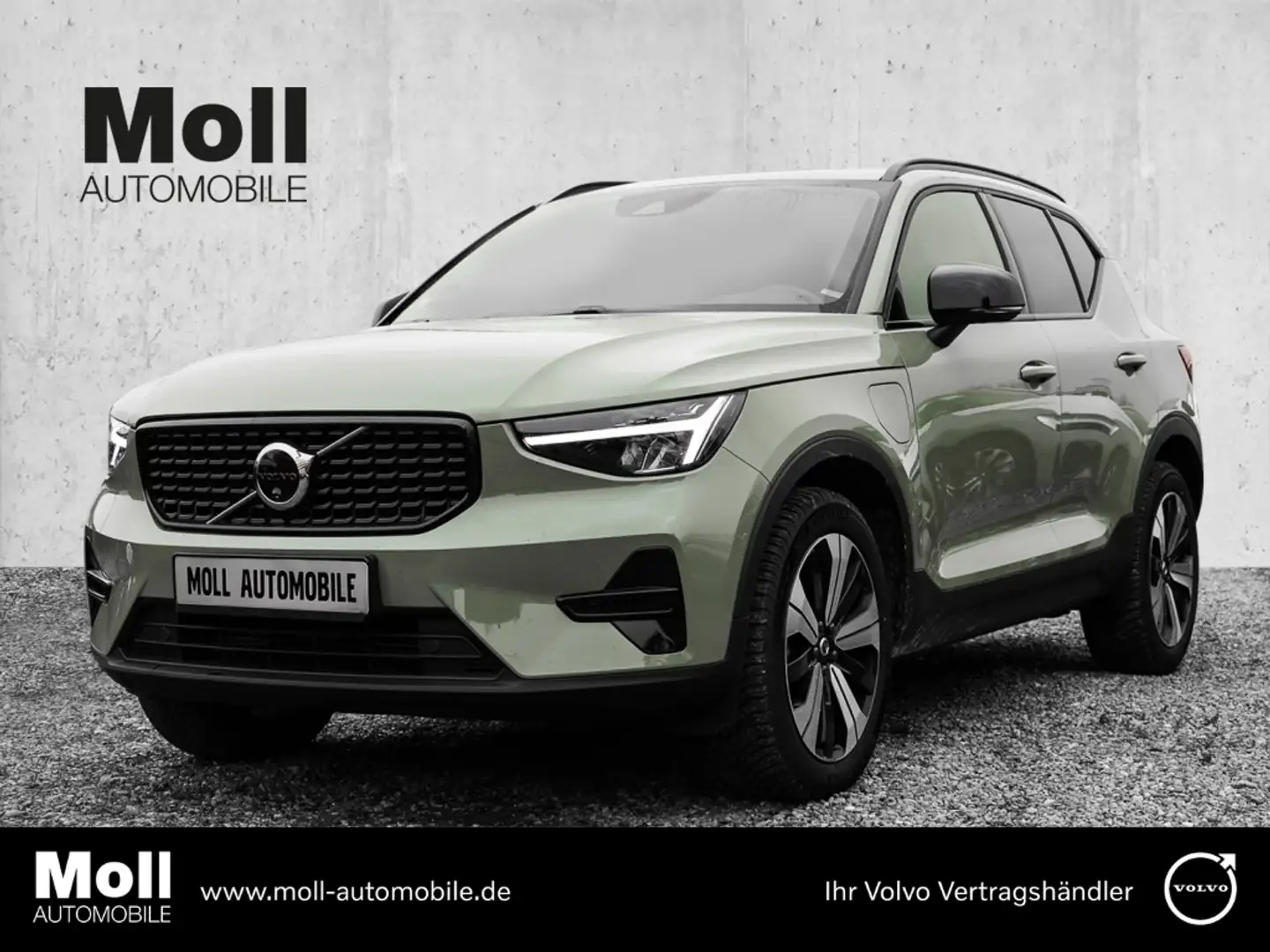 Volvo XC40 Plus Dark Recharge Plug-In Hybrid 2WD T5 Twin Engi Grün - 1