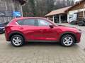 Mazda CX-5 Sports-Line AWD Rot - thumbnail 5