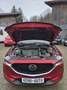 Mazda CX-5 Sports-Line AWD Rot - thumbnail 26