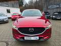 Mazda CX-5 Sports-Line AWD Rot - thumbnail 2