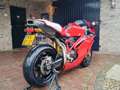 Ducati 749 Mono Czerwony - thumbnail 7